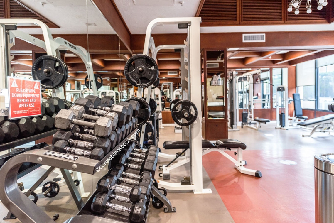 The Charter Club Condos for Sale and Rent in Edgewater Miami CondoBlackBook