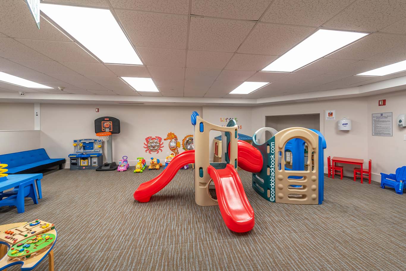 Blue Diamond, 4779 Collins Ave Blue Diamond Img11