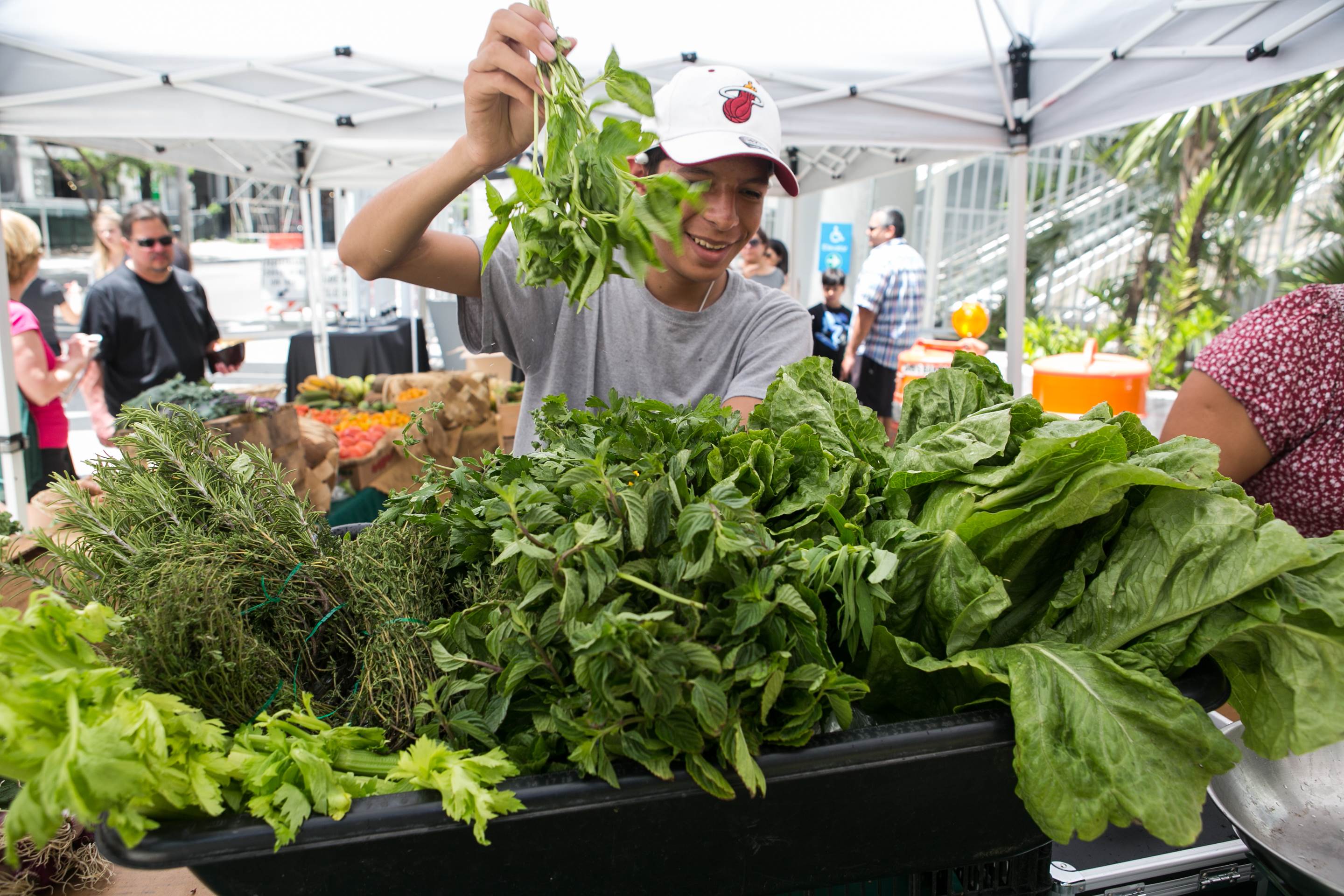 Brickell City Centre Farmer Market