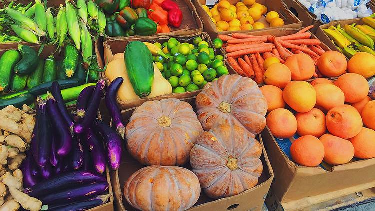 Lincoln Road Farmers Market