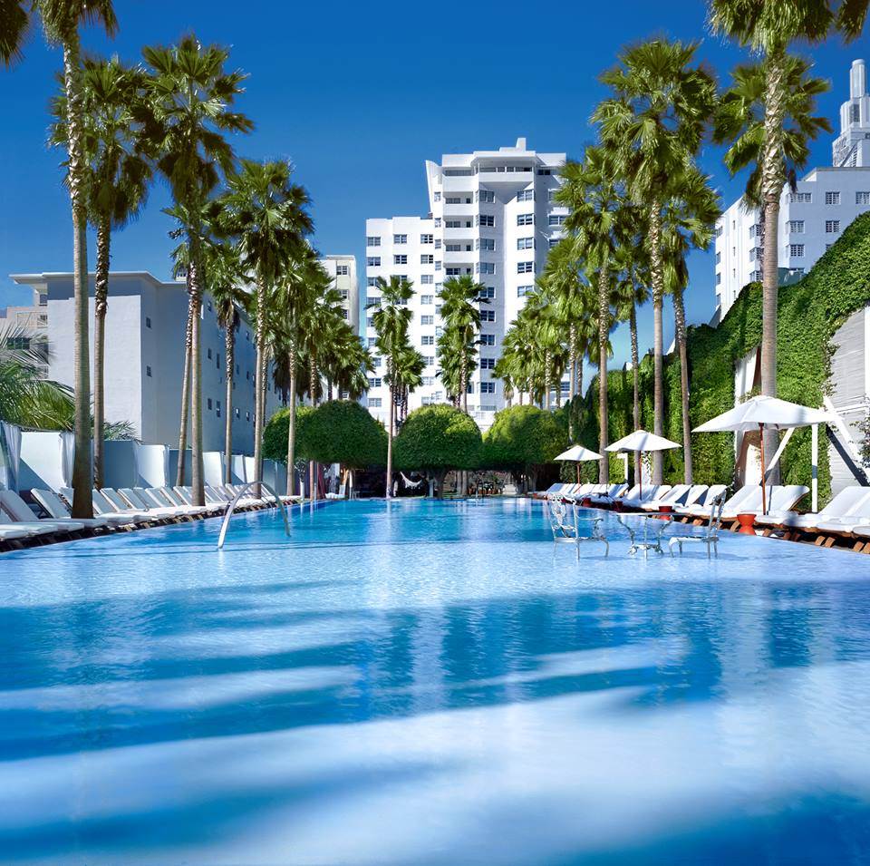 Delano South Beach swimming pool