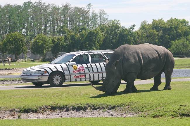 Lion Country Safari Miami