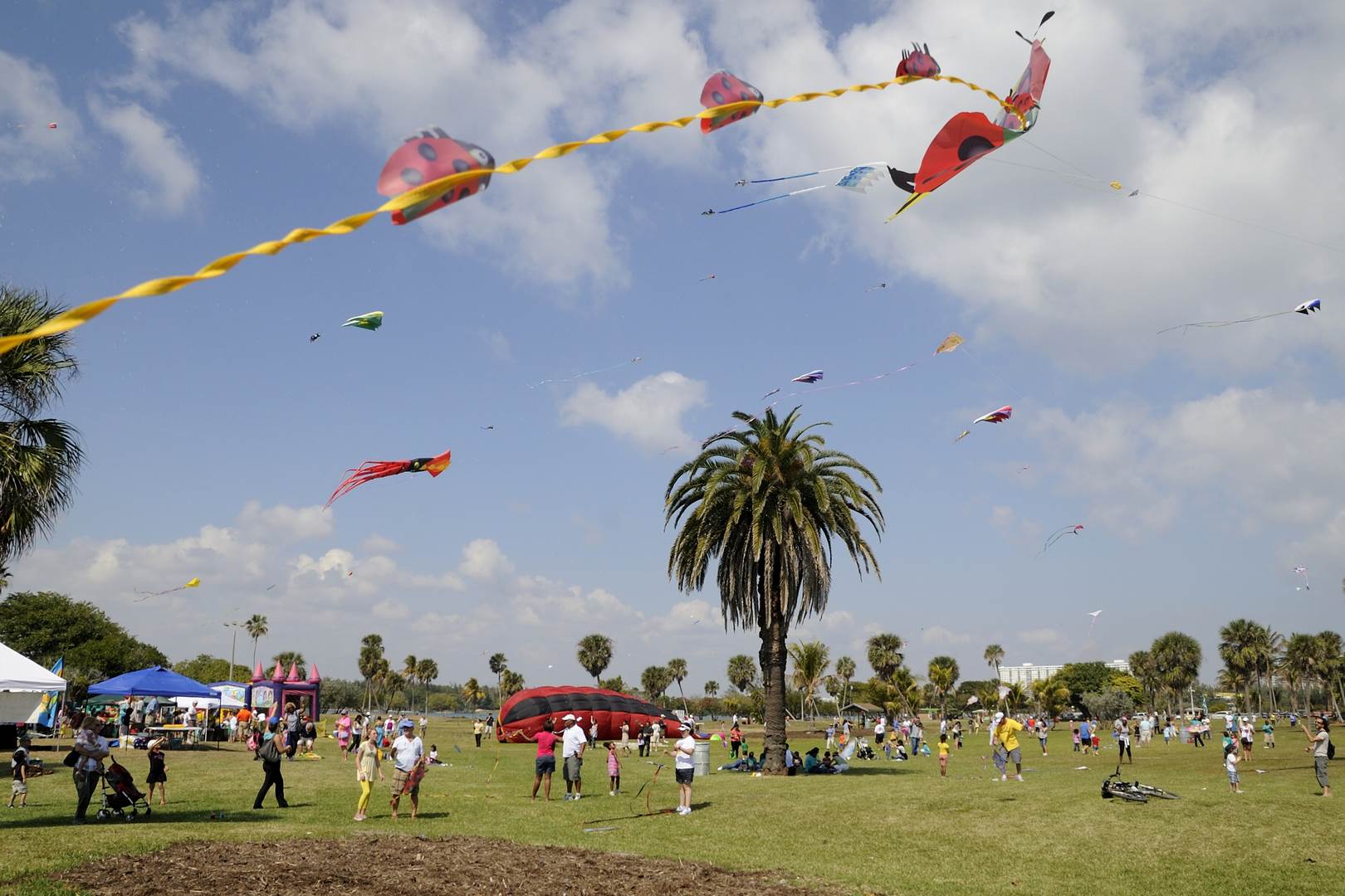 Kitetober Festival