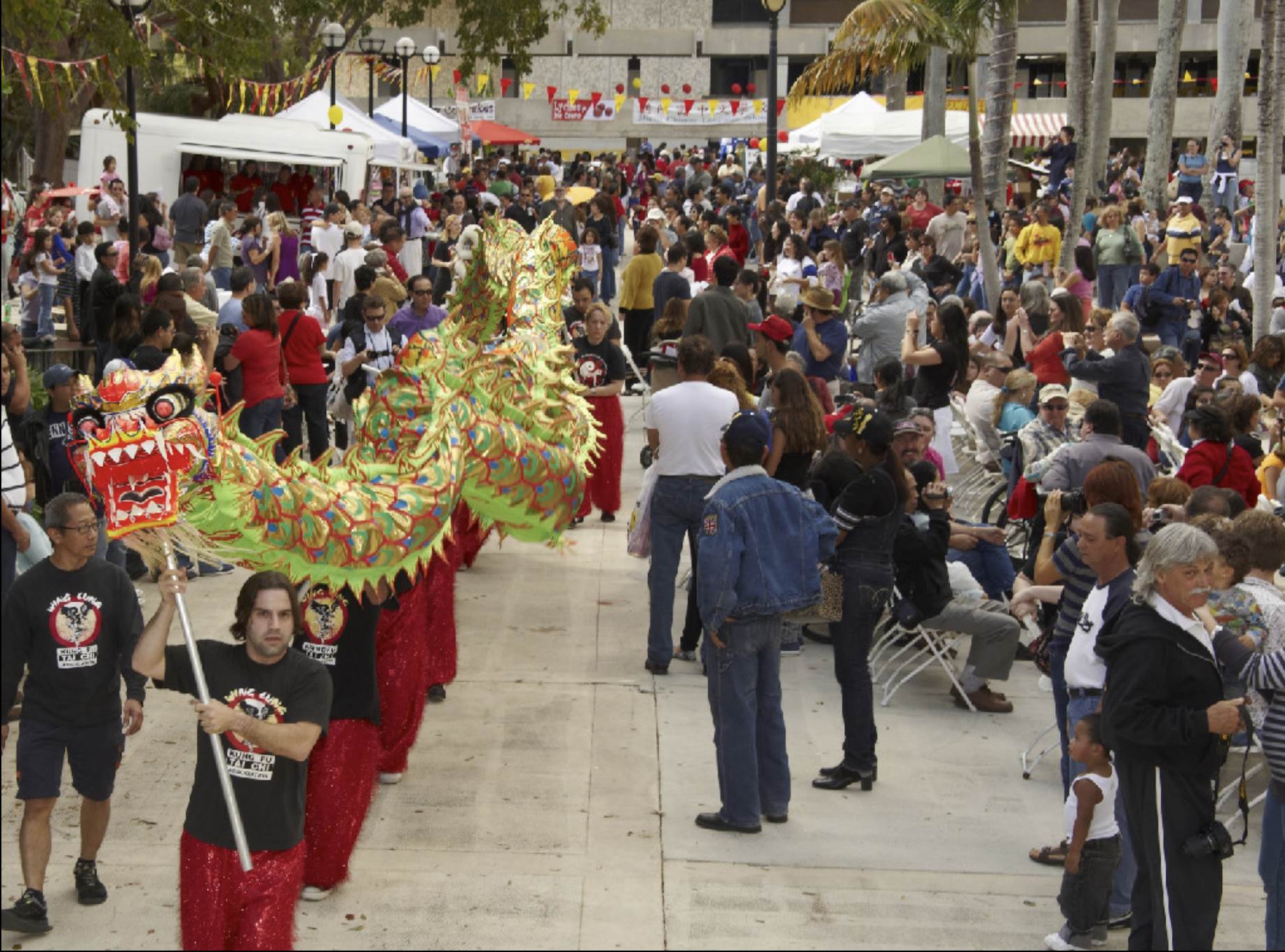 Chinese New Year Festival