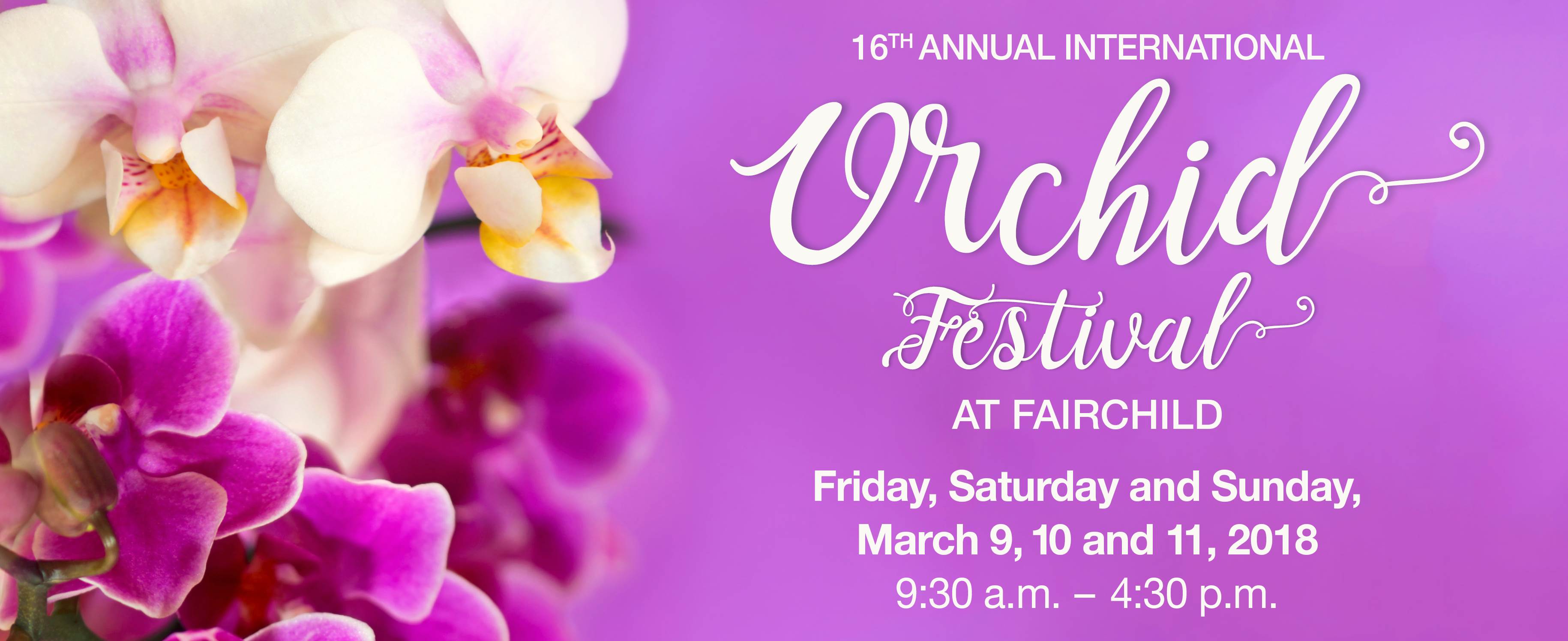 International Orchid Festival