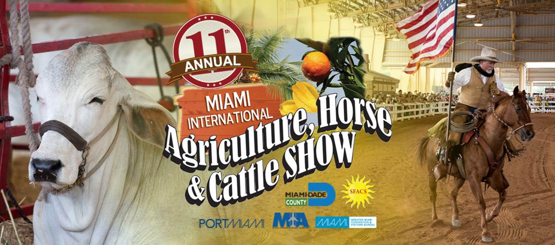 Miami Cattle show