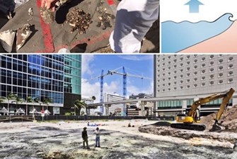Archaeological Dig in Met Square Believed to Be Proof of Rising Sea Levels in Miami