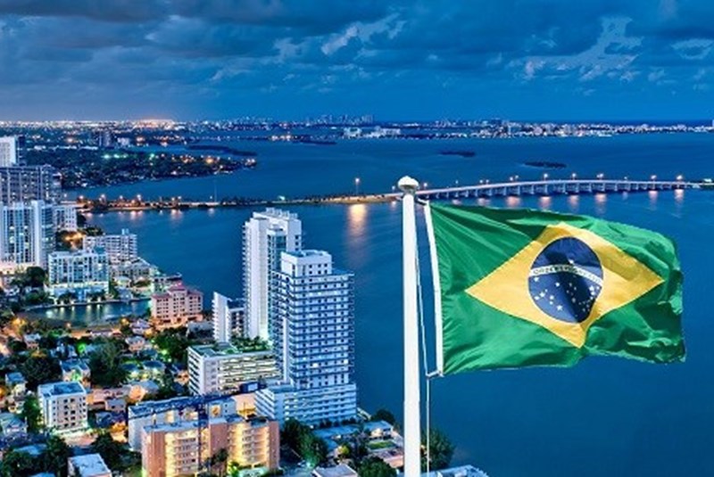 Miami-Brazil Connections in Numbers