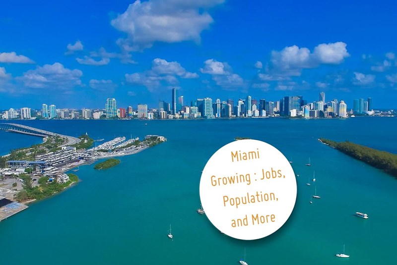Miami Growing in More Ways than One: Jobs, Population, and More