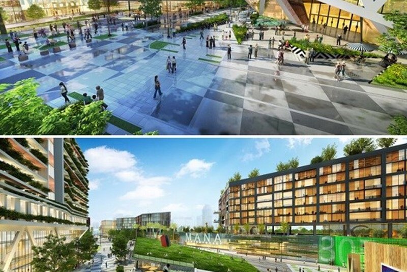 Mana Will Develop 30 Acres of Wynwood Land through SAP