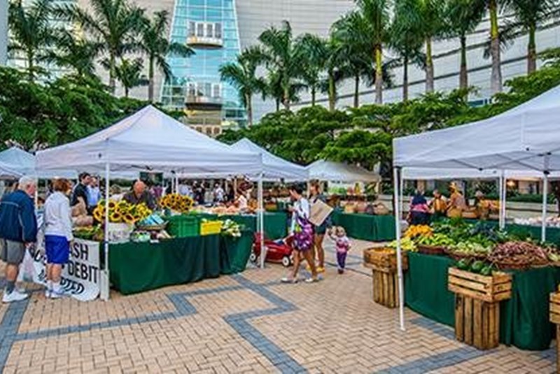 Guide to Miami’s Top Farmers’ Markets
