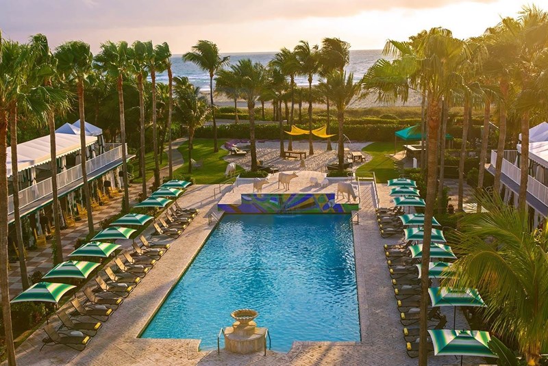 A Visit to Miami’s Top Dozen Hotel Swimming Pools