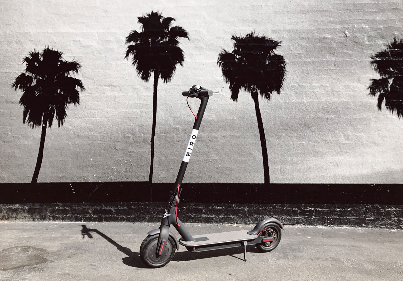 Scooters in Miami They’re a Keeper CondoBlackBook Blog