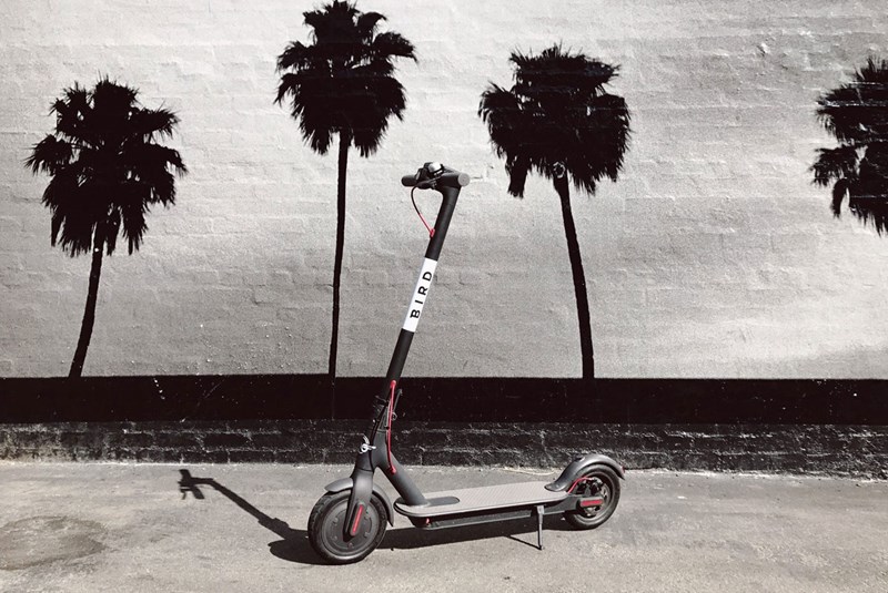 Scooters in Miami: They’re a Keeper