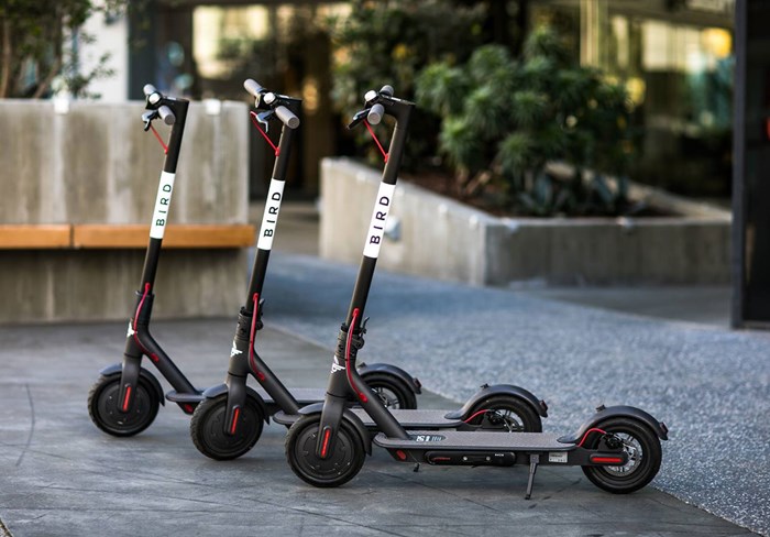 Bird Scooters