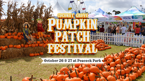 Coconut Grove Pumpkin fest