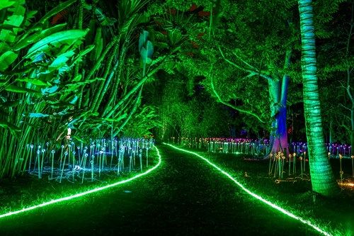 night garden at he fairchild