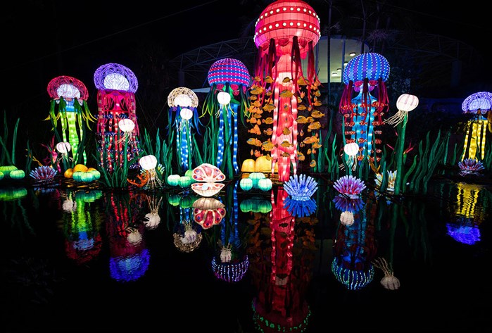 Luminosa! Chinese Lantern Festival at Jungle Island: Now – January 8