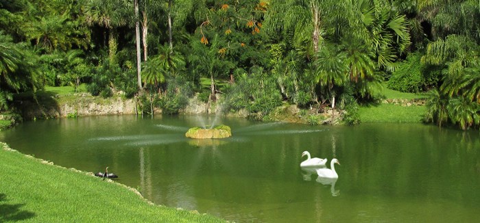 Pinecrest Gardens - Miami FL