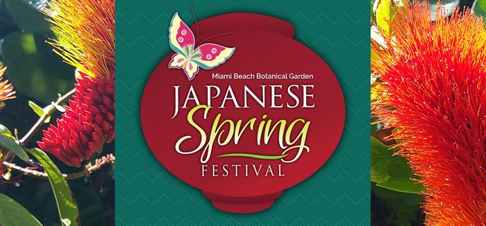 Japanese Spring Festival
