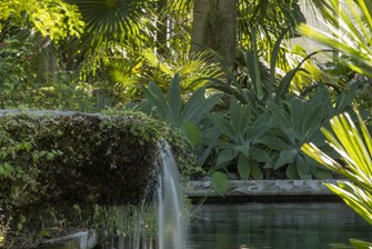 Who are Miami’s Most Iconic Landscape Architects?