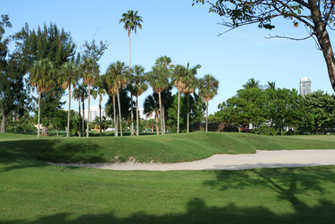 The Best Miami Golf Courses for City Living