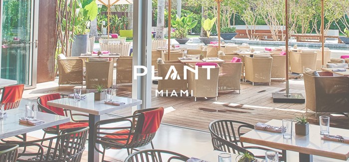 Plant Miami - Edgewater