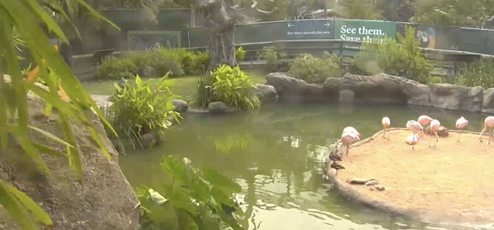 Houston Zoo