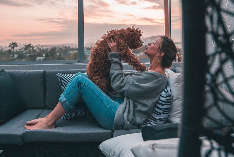 New Emotional Support Animal Law Florida 2020 - What it Means for Landlords and Condo Residents with an ESA Dog or Cat