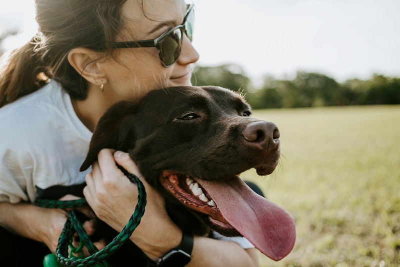 New Emotional Support Animal (ESA) Law Florida: Complete Condo Guide
