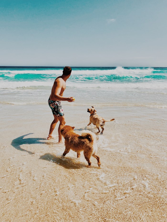 Man playing with two dogs at the beach - Ian Badenhorst
