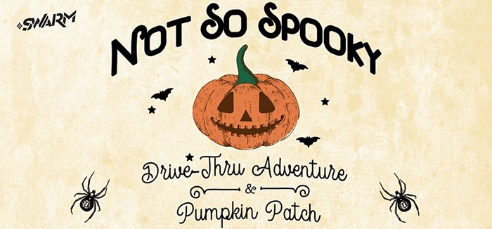 Drive-Through Pumpkin Patch: October 3-31