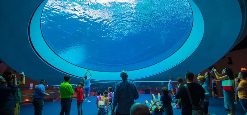 Frost Science Museum - Acquarium