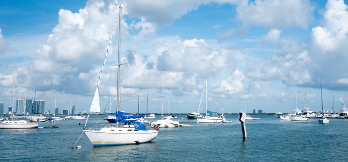 Coconut Grove Marina - FL