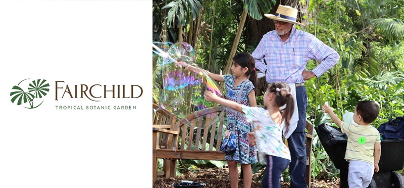 Events at the Fairchild Gardens