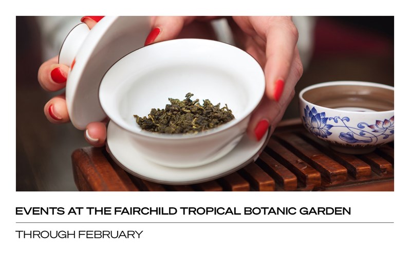 Events at the Fairchild Tropical Botanic Garden: Through February