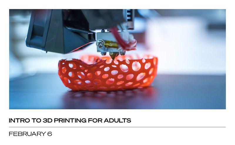 Intro to 3D Printing for Adults: February 6
