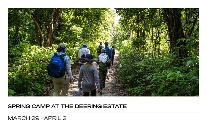 Spring Camp at the Deering Estate