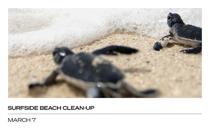 Surfside Beach Clean-Up