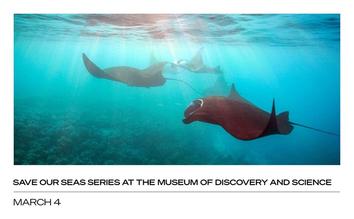 Save Our Seas Series at the Museum of Discovery and Science: March 4