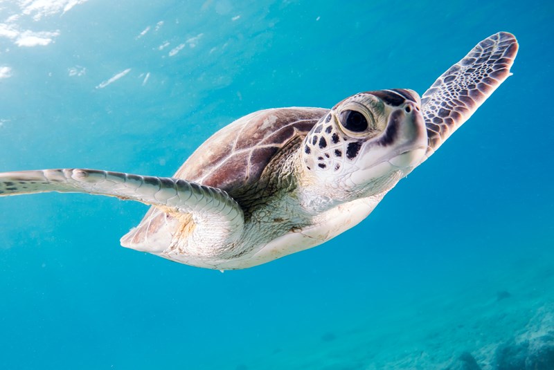 August Events 2021: So Many Fun Things to Do in Fort Lauderdale - Camps, Concerts, Comedy & More
