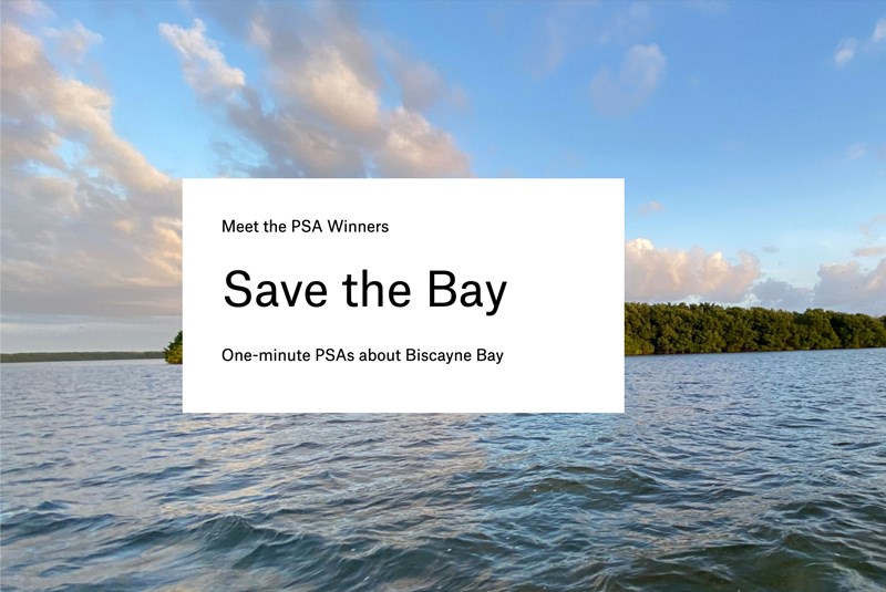 Oolite Arts’ Save the Bay Initiative Commissions Miami Filmmakers to Help Preserve Biscayne Bay