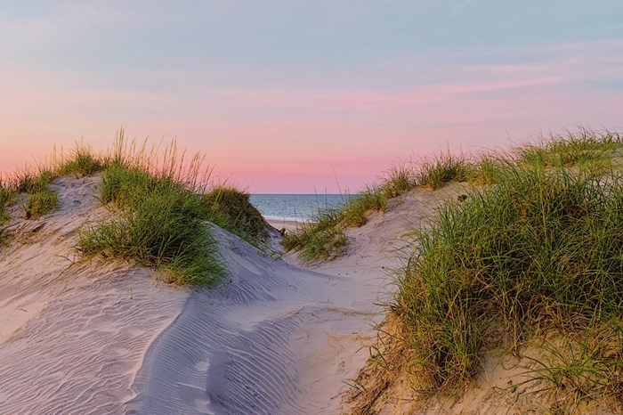 Beach Sand Dunes