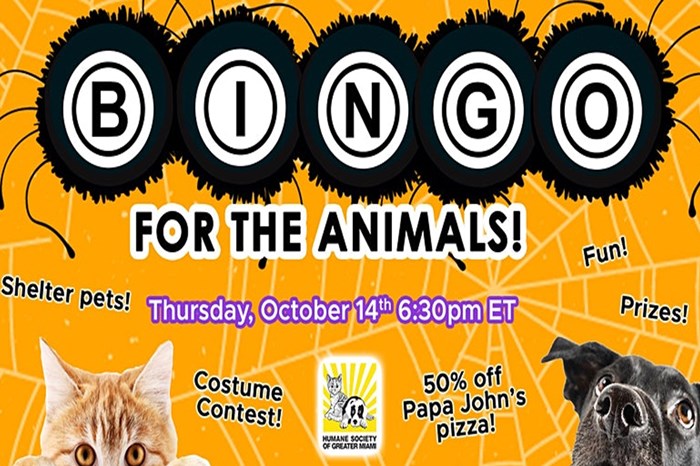 Virtual Bingo for the Animals + Pet Adoption: October 15