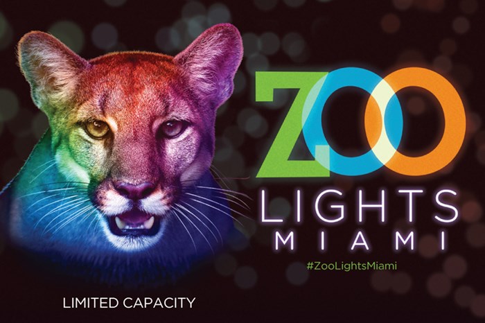 Zoo Lights Miami: November 26 – December 30 (select nights)