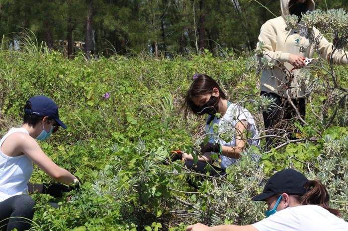 MUVE Volunteer Workday x Frost Museum of Science: November 21