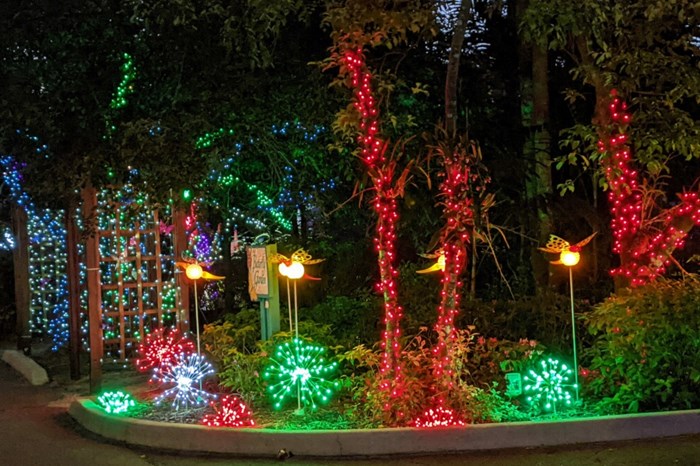 Christmas Events Broward County 2022 December Events 2021: Holiday Concerts, Christmas Specials, New Year's Eve  Celebrations, And More In Fort Lauderdale! | Condoblackbook Blog