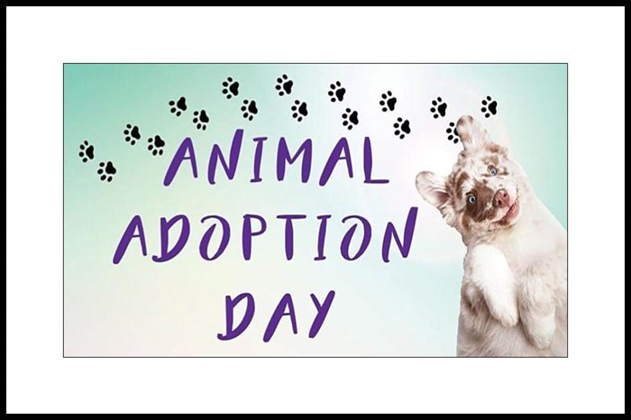 Animal Adoption Day: January 8