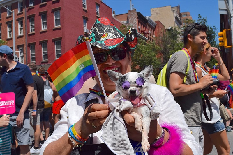 June 2022 Fort Lauderdale Events: Pride Month, Festivals, Ringo Starr, Sea Turtles, Juneteenth & Father’s Day Celebrations