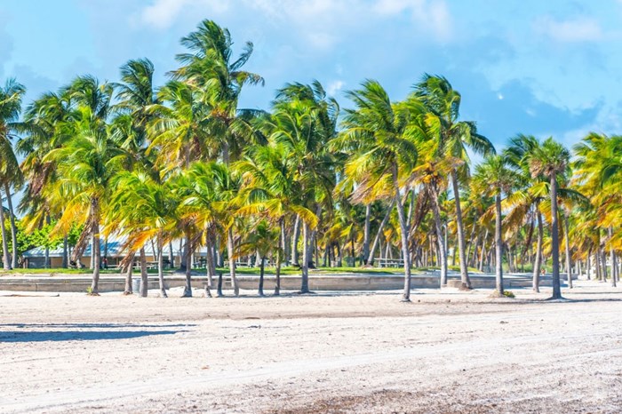 Crandon Park Beach